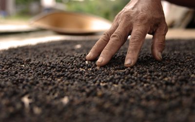 Le Salon du goût: La Mecque du Slow Food