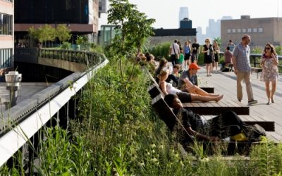 Les jardins suspendus de Manhattan – La High Line